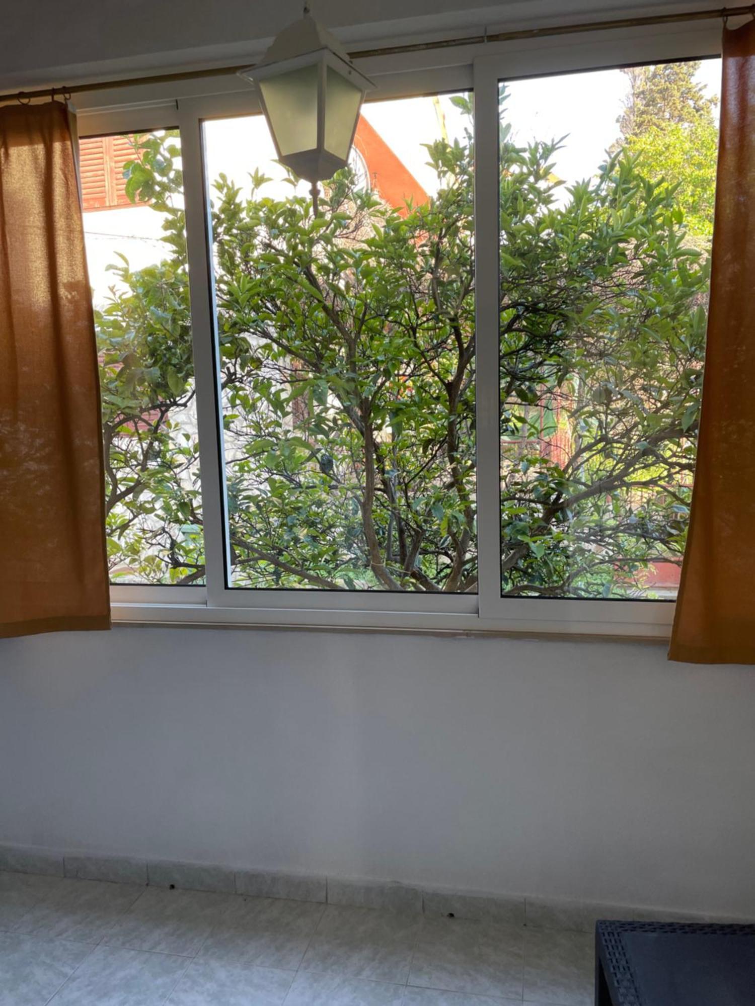 Apartmani Isabella - Ilda Radonic Jelsa  Kültér fotó