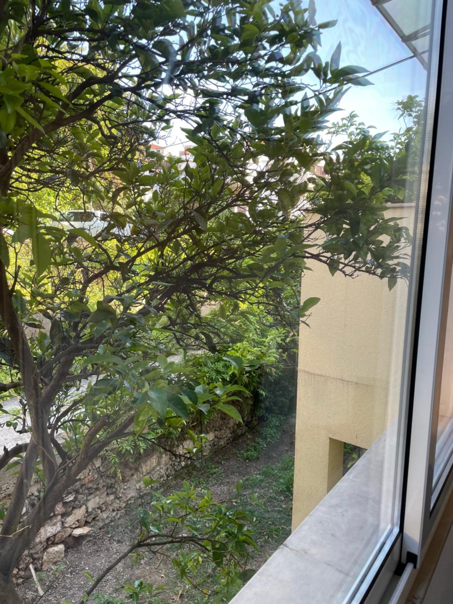 Apartmani Isabella - Ilda Radonic Jelsa  Kültér fotó